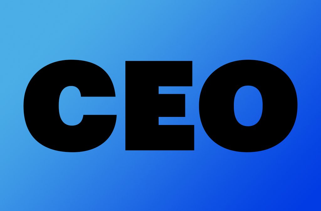 The CEO Course